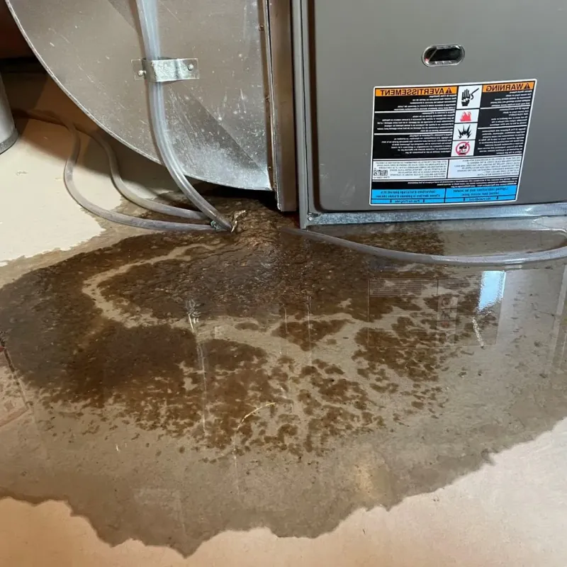 Pipe Burst and Leak Restoration in Corydon, IN